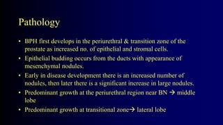Pathology
• BPH first develops in the periurethral & transition zone of the
prostate as increased no. of epithelial and stromal cells.
• Epithelial budding occurs from the ducts with appearance of
mesenchymal nodules.
• Early in disease development there is an increased number of
nodules, then later there is a significant increase in large nodules.
• Predominant growth at the periurethral region near BN  middle
lobe
• Predominant growth at transitional zone lateral lobe
 