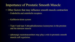 Importance of Prostatic Smooth Muscle
• Other factors that may influence smooth muscle contraction
– Endothelin and endothelin receptors
– Kallikrein-kinin system
– Type 4 and type 5 phosphodiesterase isoenzymes in the prostate
and the detrusor muscle
– adrenergic neurotransmitters may play a role in prostatic smooth
muscle cell regulation.
 