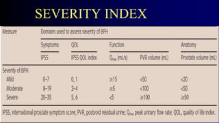 SEVERITY INDEX
 