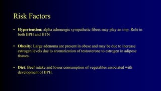 Risk Factors
• Hypertension: alpha adrenergic sympathetic fibers may play an imp. Role in
both BPH and HTN
• Obesity: Large adenoma are present in obese and may be due to increase
estrogen levels due to aromatization of testosterone to estrogen in adipose
tissues.
• Diet: Beef intake and lower consumption of vegetables associated with
development of BPH.
 
