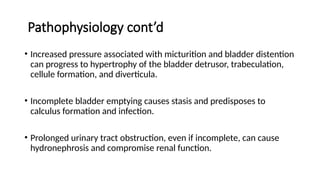 Pathophysiology cont’d
• Increased pressure associated with micturition and bladder distention
can progress to hypertrophy of the bladder detrusor, trabeculation,
cellule formation, and diverticula.
• Incomplete bladder emptying causes stasis and predisposes to
calculus formation and infection.
• Prolonged urinary tract obstruction, even if incomplete, can cause
hydronephrosis and compromise renal function.
 