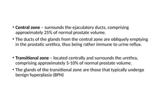 • Central zone – surrounds the ejaculatory ducts, comprising
approximately 25% of normal prostate volume.
• The ducts of the glands from the central zone are obliquely emptying
in the prostatic urethra, thus being rather immune to urine reflux.
• Transitional zone – located centrally and surrounds the urethra,
comprising approximately 5-10% of normal prostate volume.
• The glands of the transitional zone are those that typically undergo
benign hyperplasia (BPH)
 