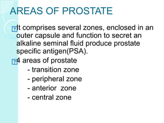 AREAS OF PROSTATE
It comprises several zones, enclosed in an
outer capsule and function to secret an
alkaline seminal fluid produce prostate
specific antigen(PSA).
4 areas of prostate
- transition zone
- peripheral zone
- anterior zone
- central zone
 