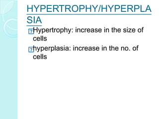 HYPERTROPHY/HYPERPLA
SIA
Hypertrophy: increase in the size of
cells
hyperplasia: increase in the no. of
cells
 