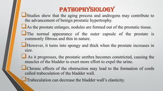 Pathophysiology
Studies show that the aging process and androgens may contribute to
the advancement of benign prostatic hypertrophy.
As the prostate enlarges, nodules are formed out of the prostatic tissue.
The normal appearance of the outer capsule of the prostate is
commonly fibrous and thin in nature.
However, it turns into spongy and thick when the prostate increases in
size.
As it progresses, the prostatic urethra becomes constricted, causing the
muscles of the bladder to exert more effort to expel the urine.
Chronic effects of the obstruction may lead to the formation of cords
called trabeculation of the bladder wall.
Trabeculation can decrease the bladder wall’s elasticity.
 