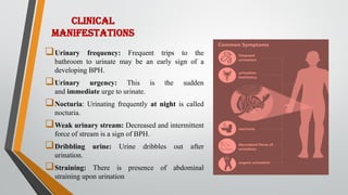 CLINICAL
MANIFESTATIONS
Urinary frequency: Frequent trips to the
bathroom to urinate may be an early sign of a
developing BPH.
Urinary urgency: This is the sudden
and immediate urge to urinate.
Nocturia: Urinating frequently at night is called
nocturia.
Weak urinary stream: Decreased and intermittent
force of stream is a sign of BPH.
Dribbling urine: Urine dribbles out after
urination.
Straining: There is presence of abdominal
straining upon urination
 