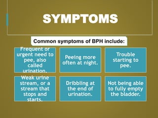 SYMPTOMS
Frequent or
urgent need to
pee, also
called
urination.
Peeing more
often at night.
Trouble
starting to
pee.
Weak urine
stream, or a
stream that
stops and
starts.
Dribbling at
the end of
urination.
Not being able
to fully empty
the bladder.
Common symptoms of BPH include:
 