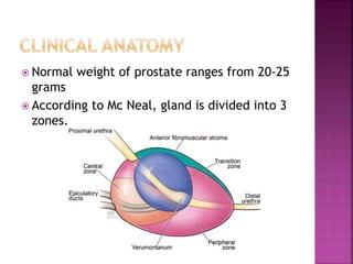  Normal weight of prostate ranges from 20-25
grams
 According to Mc Neal, gland is divided into 3
zones.
 