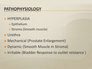 PATHOPHYSIOLOGY
 HYPERPLASIA
 Epithelium
 Stroma (Smooth muscle)
 Urethra
 Mechanical (Prostate Enlargement)
 Dynamic (Smooth Muscle in Stroma)
 Irritable (Bladder Response to outlet reistance )
 