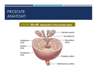 Benign prostatic hyperplasia | PPTX