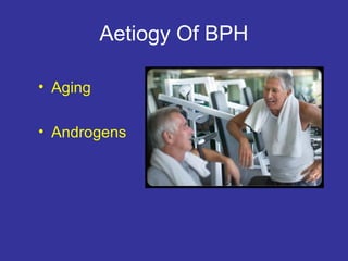 Aetiogy Of BPH
• Aging
• Androgens
 