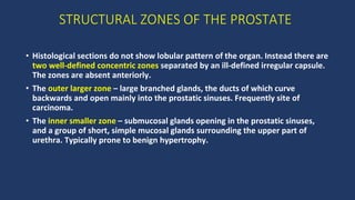 BENIGNPROSTATICHYPERPLASIA.pptx