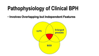 BENIGN PROSTATIC HYPERPLASIA.BPH. BPHpdf | PDF