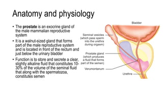 BENIGN PROSTATIC HYPERPLASIA.BPH. BPHpdf | PDF