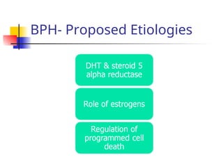 Benign Prostatic Hyperplasia POWER POINT PRESENTATION | PPT