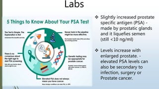 Labs
 Slightly increased prostate
specific antigen (PSA) -
made by prostatic glands
and it liquefies semen
(still <10 ng/ml)
 Levels increase with
enlarged prostate. -
elevated PSA levels can
also be secondary to
infection, surgery or
Prostate cancer.
 