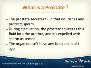 What is a Prostate ?
● The prostate secretes fluid that nourishes and
protects sperm.
● During ejaculation, the prostate squeezes this
fluid into the urethra, and it’s expelled with
sperm as semen.
● The organ doesn't have any function in old
age.
 