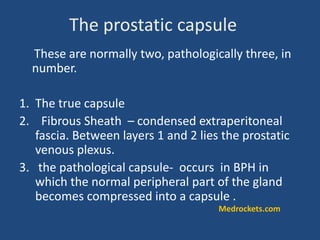 The prostatic capsule
These are normally two, pathologically three, in
number.
1. The true capsule
2. Fibrous Sheath – condensed extraperitoneal
fascia. Between layers 1 and 2 lies the prostatic
venous plexus.
3. the pathological capsule- occurs in BPH in
which the normal peripheral part of the gland
becomes compressed into a capsule .
Medrockets.com
 