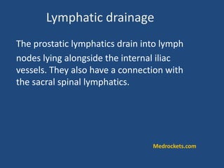 Lymphatic drainage
The prostatic lymphatics drain into lymph
nodes lying alongside the internal iliac
vessels. They also have a connection with
the sacral spinal lymphatics.
Medrockets.com
 