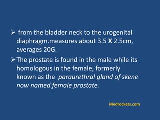  from the bladder neck to the urogenital
diaphragm.measures about 3.5 X 2.5cm,
averages 20G.
The prostate is found in the male while its
homologous in the female, formerly
known as the paraurethral gland of skene
now named female prostate.
Medrockets.com
 