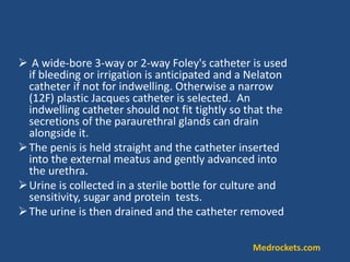  A wide-bore 3-way or 2-way Foley's catheter is used
if bleeding or irrigation is anticipated and a Nelaton
catheter if not for indwelling. Otherwise a narrow
(12F) plastic Jacques catheter is selected. An
indwelling catheter should not fit tightly so that the
secretions of the paraurethral glands can drain
alongside it.
The penis is held straight and the catheter inserted
into the external meatus and gently advanced into
the urethra.
Urine is collected in a sterile bottle for culture and
sensitivity, sugar and protein tests.
The urine is then drained and the catheter removed
Medrockets.com
 