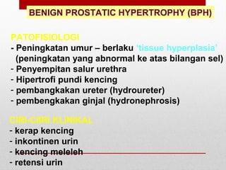 BENIGN PROSTATIC HYPERTROPHY (BPH)
PATOFISIOLOGI
- Peningkatan umur – berlaku ‘tissue hyperplasia’
(peningkatan yang abnormal ke atas bilangan sel)
- Penyempitan salur urethra
- Hipertrofi pundi kencing
- pembangkakan ureter (hydroureter)
- pembengkakan ginjal (hydronephrosis)
CIRI-CIIRI KLINIKAL
- kerap kencing
- inkontinen urin
- kencing meleleh
- retensi urin
 
