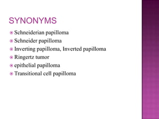  Schneiderian papilloma
 Schneider papilloma
 Inverting papilloma, Inverted papilloma
 Ringertz tumor
 epithelial papilloma
 Transitional cell papilloma
 