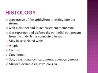  appearance of the epithelium inverting into the
stroma
 with a distinct and intact basement membrane
 that separates and defines the epithelial component
from the underlying connective tissue
 May be associated with:
 Atypia
 Ca in situ
 Carcinoma:
 Scc, transitional cell carcinoma, adenocarcinoma
 Mucoepidermoid ca, verrucous ca
 