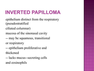 epithelium distinct from the respiratory
(pseudostratified
ciliated columnar)
mucosa of the sinonasal cavity
-- may be squamous, transitional
or respiratory
-- epithelium proliferative and
thickened
-- lacks mucus--secreting cells
and eosinophils
 
