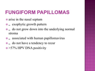  arise in the nasal septum
 „ exophytic growth pattern
 „ do not grow down into the underlying normal
stroma
 „ associated with human papillomavirus
 „ do not have a tendency to recur
 >57% HPV DNA positivity
 