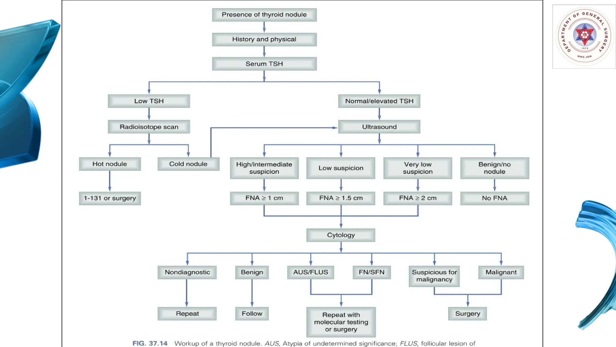 Benign Thyroid Diseases: Hypothyroidism and Hyperthyroidism; Graves ...