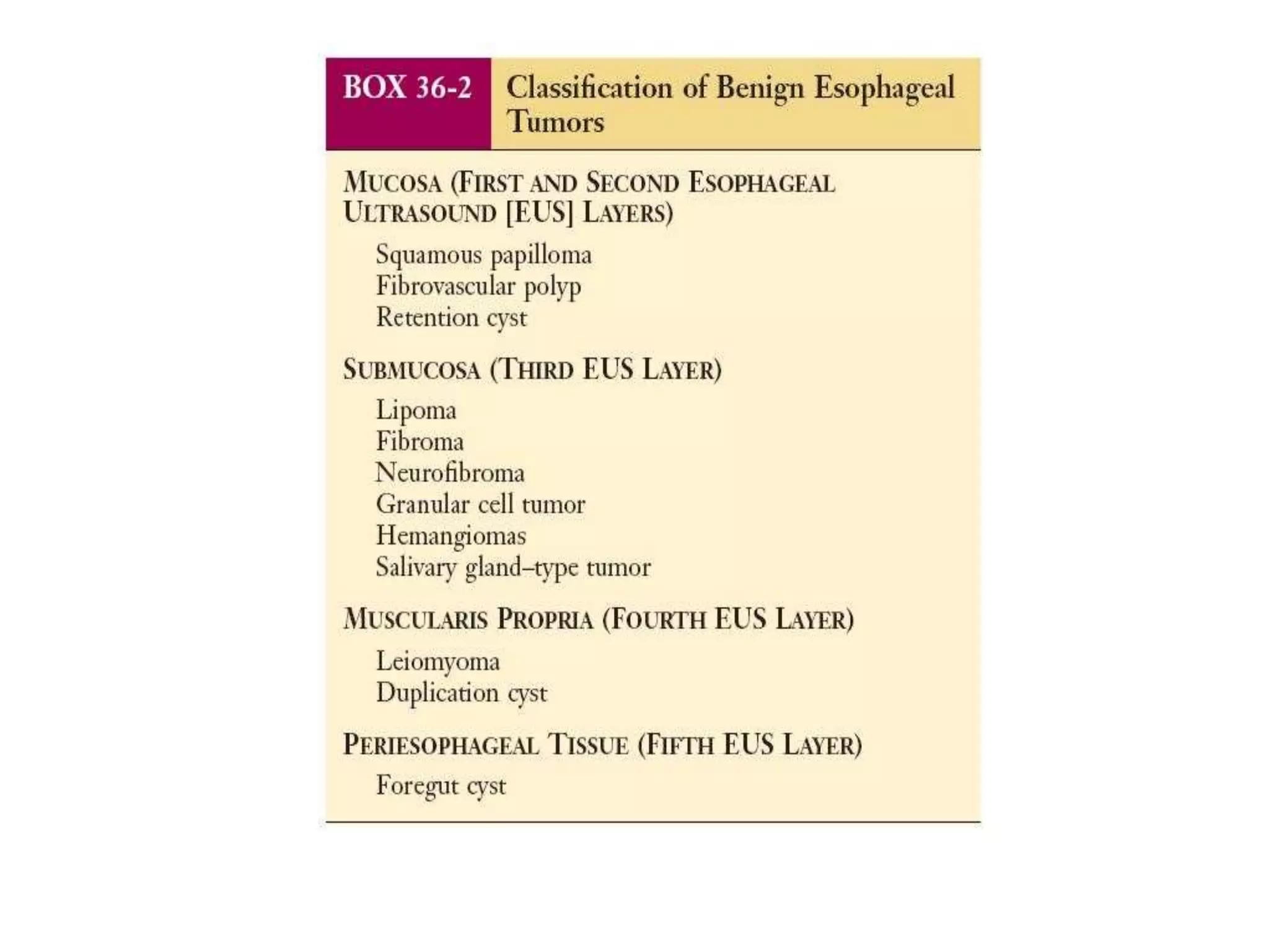 Benign tumor of esophagus | PPTX
