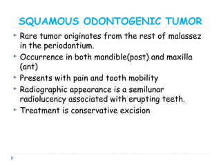 SQUAMOUS ODONTOGENIC TUMOR
 Rare tumor originates from the rest of malassez
in the periodontium.
 Occurrence in both mandible(post) and maxilla
(ant)
 Presents with pain and tooth mobility
 Radiographic appearance is a semilunar
radiolucency associated with erupting teeth.
 Treatment is conservative excision
 