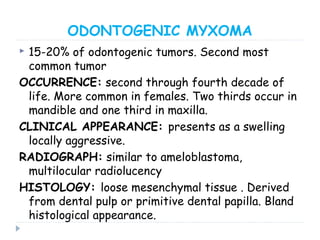 ODONTOGENIC MYXOMA
 15-20% of odontogenic tumors. Second most
common tumor
OCCURRENCE: second through fourth decade of
life. More common in females. Two thirds occur in
mandible and one third in maxilla.
CLINICAL APPEARANCE: presents as a swelling
locally aggressive.
RADIOGRAPH: similar to ameloblastoma,
multilocular radiolucency
HISTOLOGY: loose mesenchymal tissue . Derived
from dental pulp or primitive dental papilla. Bland
histological appearance.
 