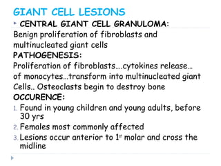 GIANT CELL LESIONS
 CENTRAL GIANT CELL GRANULOMA:
Benign proliferation of fibroblasts and
multinucleated giant cells
PATHOGENESIS:
Proliferation of fibroblasts….cytokines release…
of monocytes…transform into multinucleated giant
Cells.. Osteoclasts begin to destroy bone
OCCURENCE:
1. Found in young children and young adults, before
30 yrs
2. Females most commonly affected
3. Lesions occur anterior to 1st
molar and cross the
midline
 