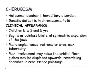 CHERUBISM
 Autosomal dominant hereditary disorder.
 Genetic defect is in chromosome 4p16
CLINICAL APPEARANCE:
 Children btw 2 and 5 yrs
 Begins as painless bilateral symmetric expansion
of the jaws
 Mand angle, ramus, retromolar area, max
tuberosity
 Max involvement may raise the orbital floor,
globes may be displaced upwards, resembling
cherubes in renaissance paintings
 