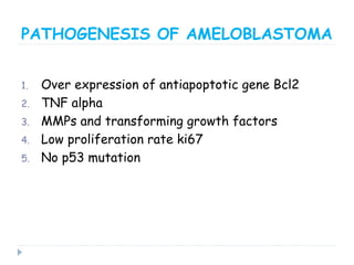 PATHOGENESIS OF AMELOBLASTOMA
1. Over expression of antiapoptotic gene Bcl2
2. TNF alpha
3. MMPs and transforming growth factors
4. Low proliferation rate ki67
5. No p53 mutation
 