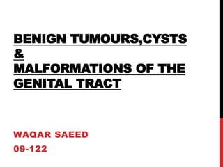 BENIGN TUMOURS,CYSTS
&
MALFORMATIONS OF THE
GENITAL TRACT
WAQAR SAEED
09-122
 