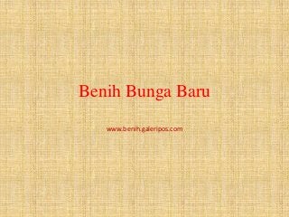 Benih Bunga Baru
www.benih.galeripos.com
 