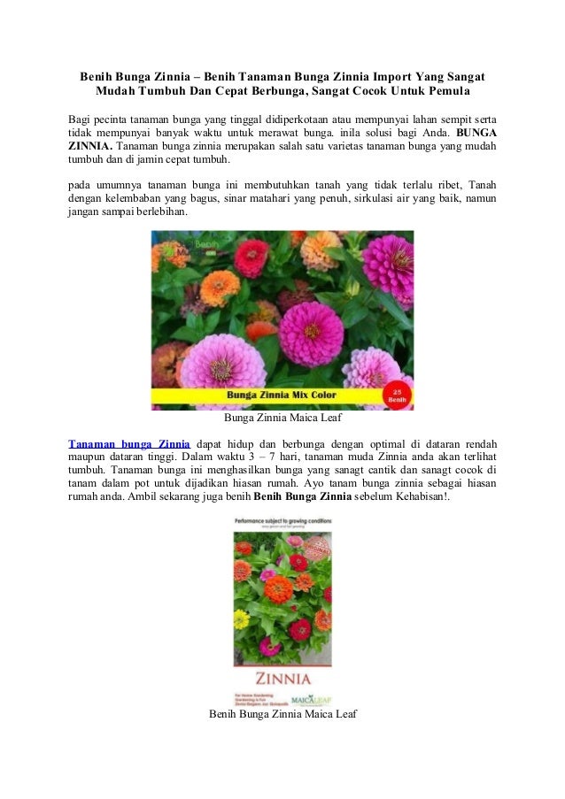 Gambar Bunga Yang Cantik Dan Mudah Koleksi Gambar Bunga
