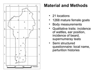 Community-based management of small ruminants in Benin: Interim report 
