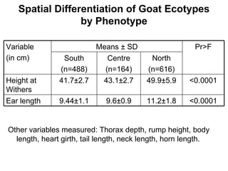 Community-based management of small ruminants in Benin: Interim report 