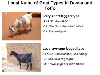 Community-based management of small ruminants in Benin: Interim report 