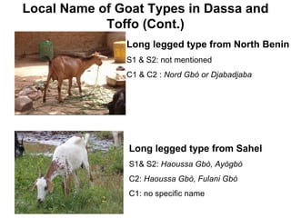 Community-based management of small ruminants in Benin: Interim report 