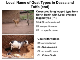 Community-based management of small ruminants in Benin: Interim report 