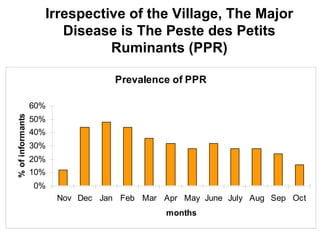 Community-based management of small ruminants in Benin: Interim report 