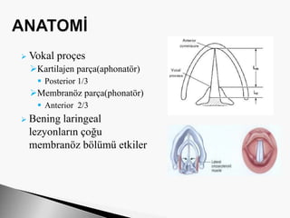  Vokal proçes
Kartilajen parça(aphonatör)
 Posterior 1/3
Membranöz parça(phonatör)
 Anterior 2/3
 Bening laringeal
lezyonların çoğu
membranöz bölümü etkiler
 
