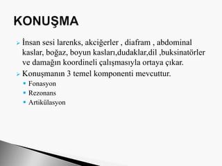  İnsan sesi larenks, akciğerler , diafram , abdominal
kaslar, boğaz, boyun kasları,dudaklar,dil ,buksinatörler
ve damağın koordineli çalışmasıyla ortaya çıkar.
 Konuşmanın 3 temel komponenti mevcuttur.
 Fonasyon
 Rezonans
 Artikülasyon
 