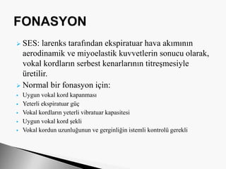  SES: larenks tarafından ekspiratuar hava akımının
aerodinamik ve miyoelastik kuvvetlerin sonucu olarak,
vokal kordların serbest kenarlarının titreşmesiyle
üretilir.
 Normal bir fonasyon için:
 Uygun vokal kord kapanması
 Yeterli ekspiratuar güç
 Vokal kordların yeterli vibratuar kapasitesi
 Uygun vokal kord şekli
 Vokal kordun uzunluğunun ve gerginliğin istemli kontrolü gerekli
 