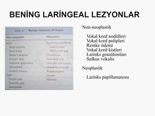 Non-neoplastik
• Vokal kord nodülleri
• Vokal kord polipleri
• Reinke ödemi
• Vokal kord kistleri
• Larinks granülomları
• Sulkus vokalis
Neoplastik
• Larinks papillamatozu
 